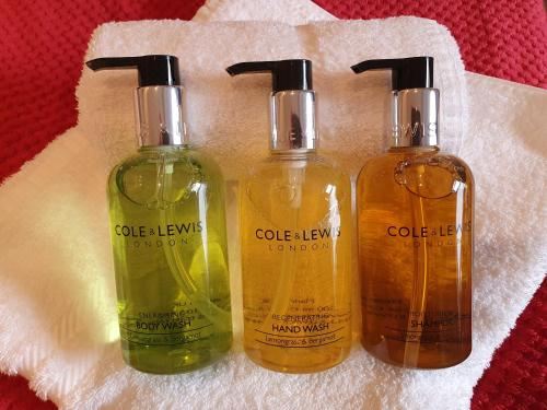 带山景的双人间