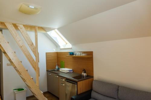 复式公寓（带阳台）