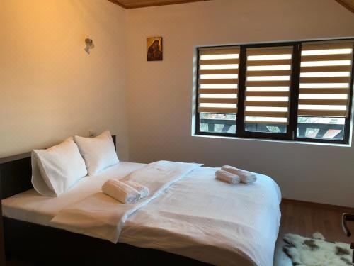 家庭套房 - 带阳台