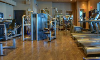 a well - equipped gym with various exercise equipment , including treadmills and weight machines , set up in a spacious room at Pan Pacific Vancouver