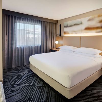 兩個房間特大床套房 大使套房聖拉斐爾 - 馬林縣優惠