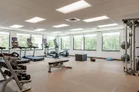 SpringHill Suites Bradenton Downtown/Riverfront