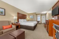 Comfort Inn Memphis Downtown