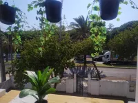 Come Inn Costa da Caparica Hotels in 