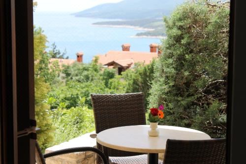 高级一卧室海景公寓 - 带露台