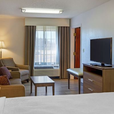 Suite-3 King Beds, Non-Smoking, Sofabed, Microwave and Refrigerator, Wi-Fi