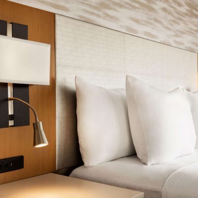 Suite Radisson Udaipur Promo Code