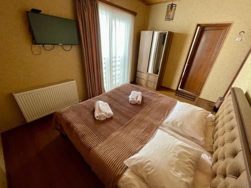 带山景的双人间