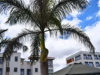 Conrad Hotel - Kitengela Hoteles en Central