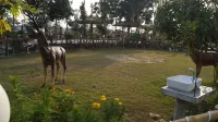 The Buddha Resort Hotel di 