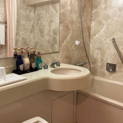 Deluxe Twin Room Non-Smoking Hotel Royal Stay Sapporo Promo Code