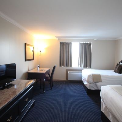 Executive Room (No Pets Allowed) Montecassino Hotel & Suites Promo Code