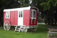 Greytown Campground Hotels in 