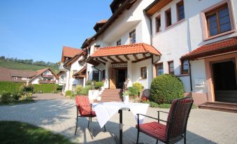 Hotel-Restaurant Hirsch - Housity