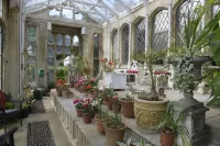 The Orangery Apartment Hotele w: 