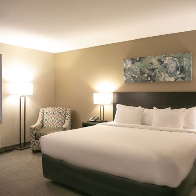 Standard Studio Suite, 1 King Bed, Kitchenette Berlin Encore Hotel & Suites Promo Code