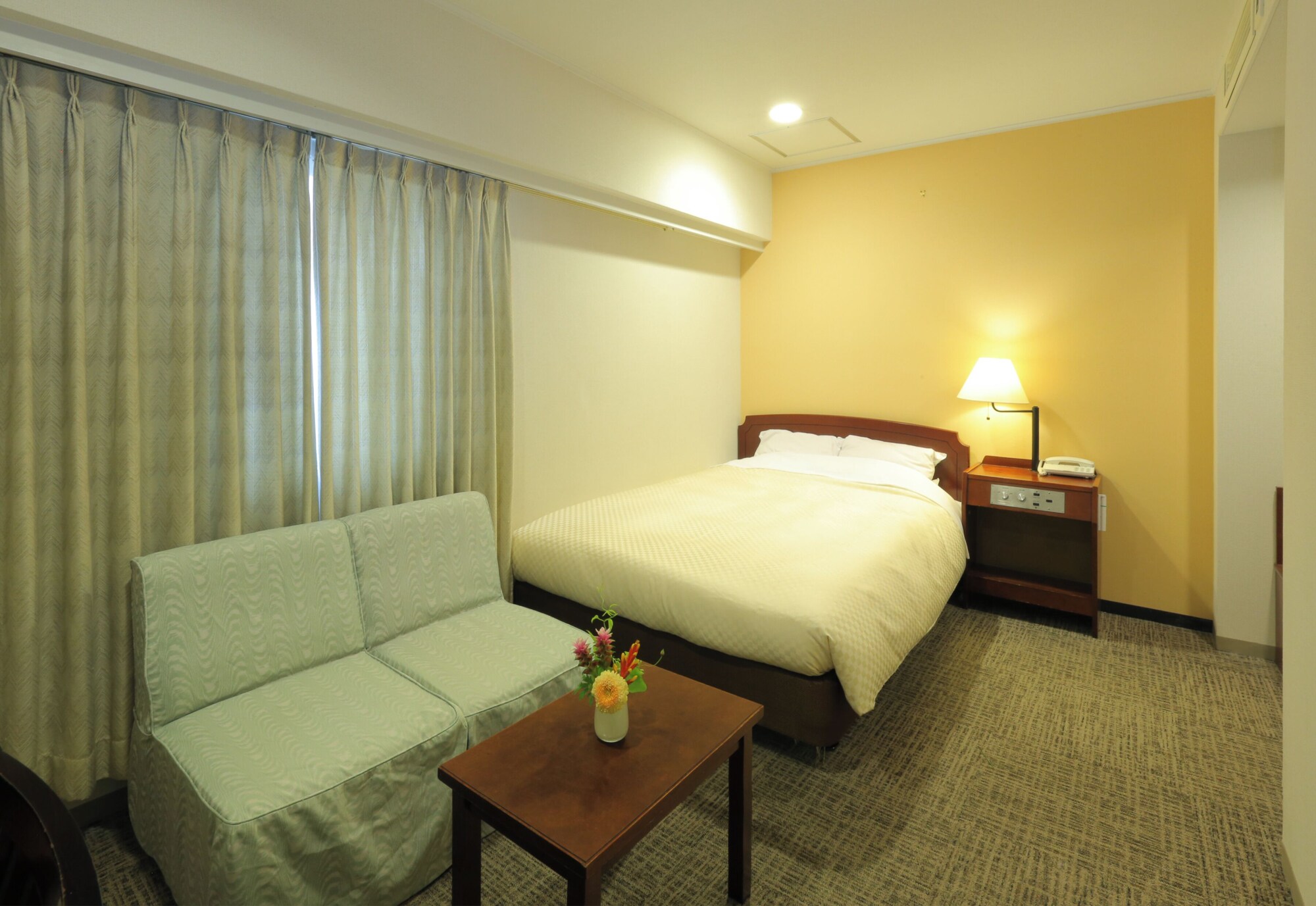 Hotel Newitaya标准双人房， 1 间卧室， 无烟房