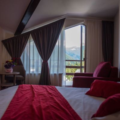 Panoramic Double Room, 1 Queen Bed, Mountain View, Mountainside Hotel Marea Neagra Promo Code