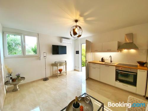 带园景一室公寓