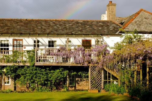 两卧室公寓 - 紫藤套房