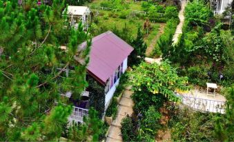 The Hill Homestay