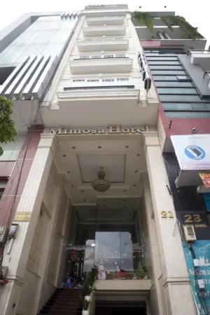 Bin Bin Hotel 10 - Mimosa Near Tan Son Nhat Airport