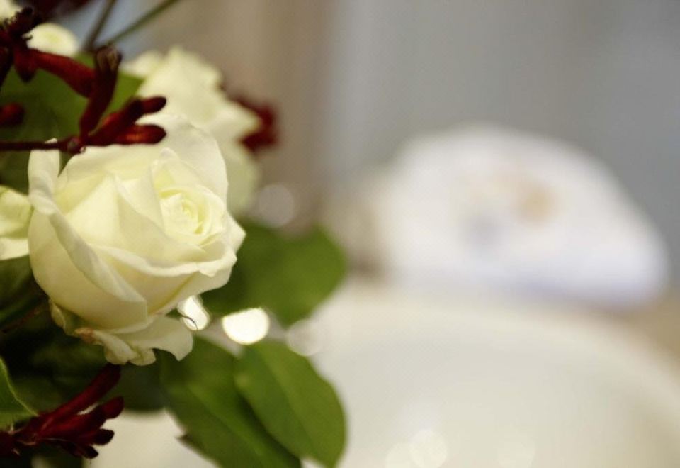 Radisson Hotel Düsseldorf City CenterStandard Room