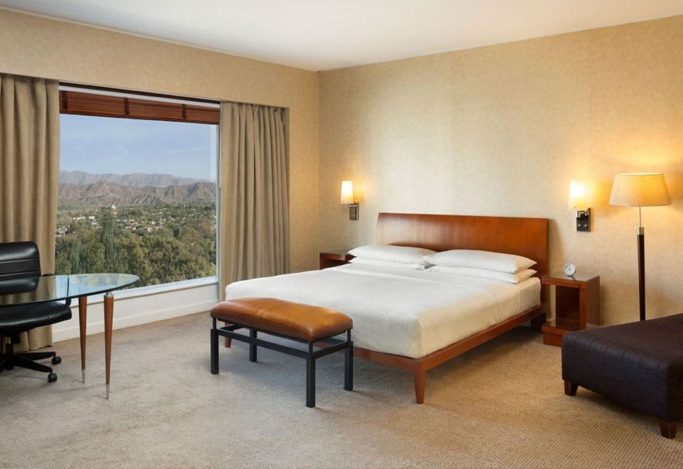 Park Hyatt Mendoza Hotel Casino and SpaDeluxe King Room