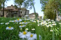 Agriturismo Nestore