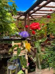 Hostal Mi Segundo Hogar โรงแรมใน