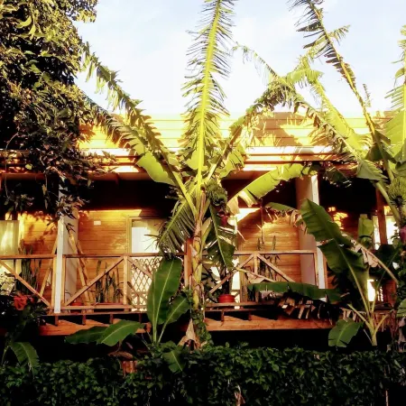 Cabañas Te Maori
