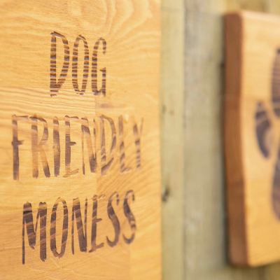 Standard Two-Bedroom Apartment (Pet Friendly) Moness Resort Promo Code