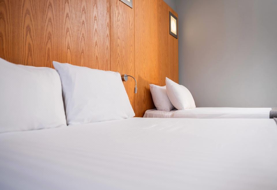 標準三張單人床房