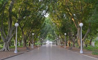 a long tree - lined street with benches and lamps on both sides , creating a serene atmosphere at Airport Hotel Sydney