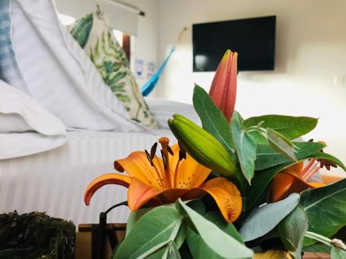 豪华双人床房（带加床）