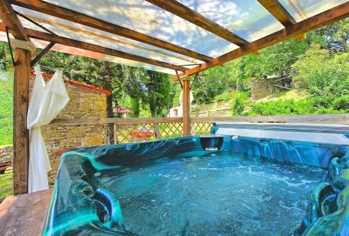 别墅（带独立泳池）