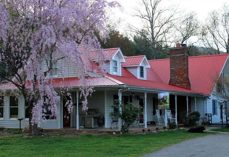 Blue Ridge Manor Bed and Breakfast