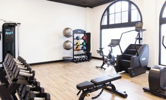 a well - equipped gym with various exercise equipment , including a rowing machine , weights , and a bench at Hotel Santa Barbara