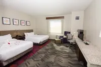 Hilton Garden Inn Tampa Suncoast Parkway