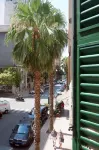ماجدا هاوس