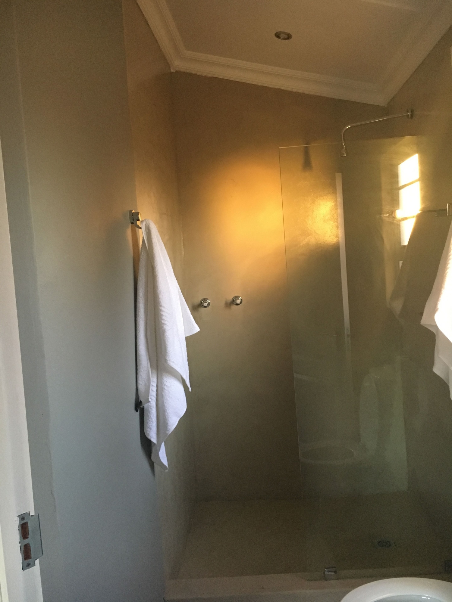 Spekboom豪华（7）