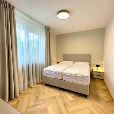Deluxe Apartment, 1 King Bed, Non Smoking, Ensuite Jaskovy Rad 181 Promo Code