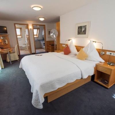 Classic Double Room Hotel-Restaurant Anne-Sophie Promo Code