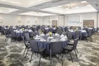 Hilton Garden Inn Dallas/Arlington South