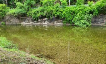 Hongcheon Wellbeing in Forest Hwangto Pension