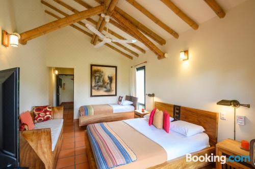 带私人泳池的别墅