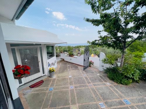 别墅（带独立泳池）