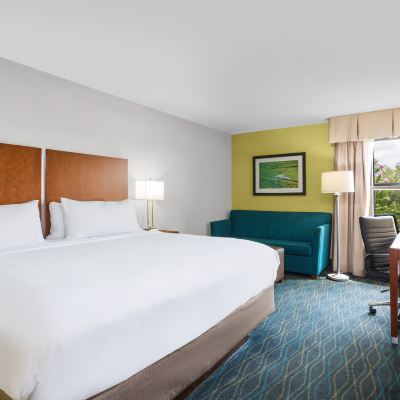 King Room With Sofabed Holiday Inn Express & Suites Wilmington-University Center, an IHG Hotel Promo Code