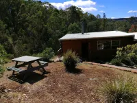 Minnow Cabins