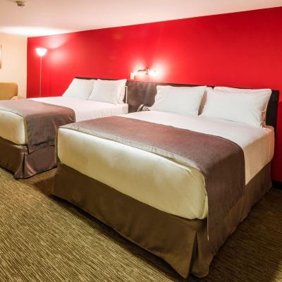 Standard Double Room, Ensuite-No Window Urban Green Hotel & Suites Promo Code